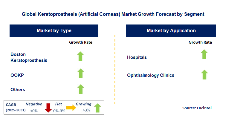 Keratoprosthesis (Artificial Corneas) Market by Segment